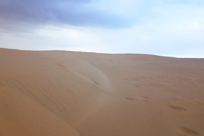 4 Days Tour In Doha | City Tour | North Tour | Desert Safari | West Tour - Desert Safari Included: Dune Bashing, Sand Fun, and Safety-First Drivers