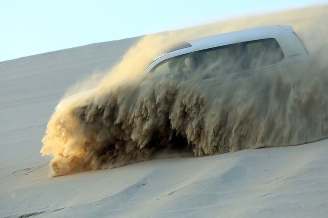 4 Hour Doha Desert Safari Tour - Key Things That Make This Safari Worth It