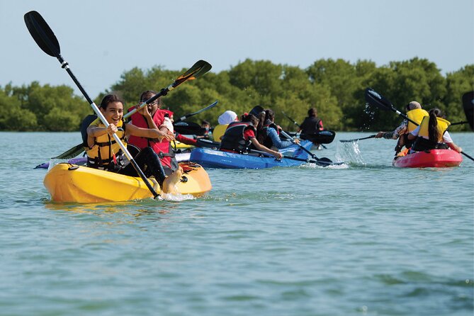 4 Hours Purple Island Mangroves Kayaking Adventure in Qatar - Key highlights you should care about
