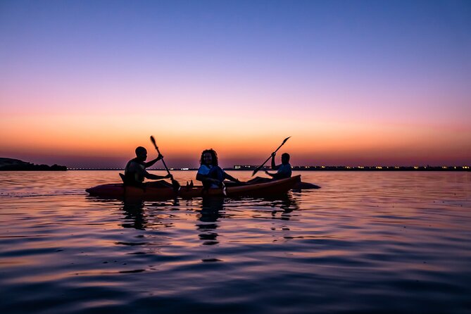 4 Hours Purple Island Mangroves Kayaking Adventure in Qatar - The tide check that can make or break your mangrove route