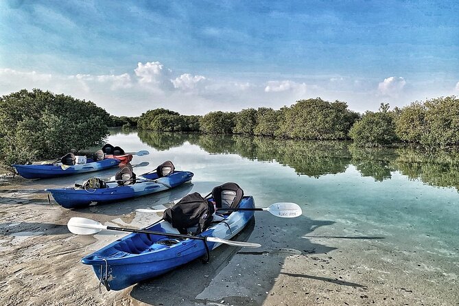 4 Hours Purple Island Mangroves Kayaking Adventure in Qatar - Al Khor context: why the 50 km north of Doha setting matters