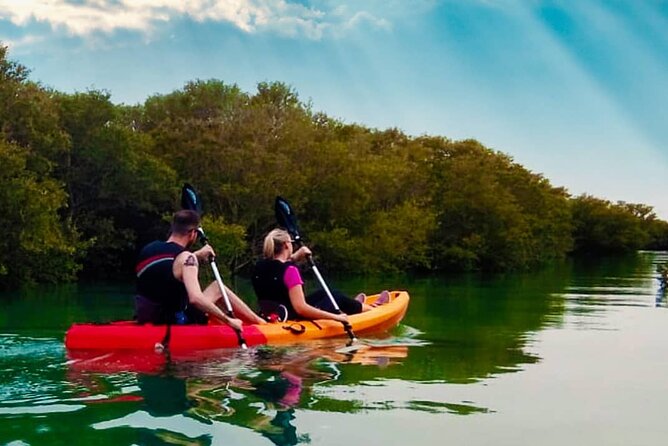 4 Hours Purple Island Mangroves Kayaking Adventure in Qatar - Who this is best for, and who should think twice