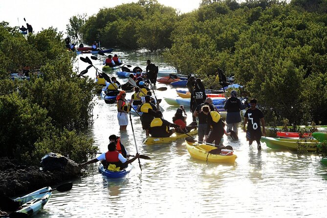 4 Hours Purple Island Mangroves Kayaking Adventure in Qatar - Should you book the Purple Island mangroves kayaking adventure?