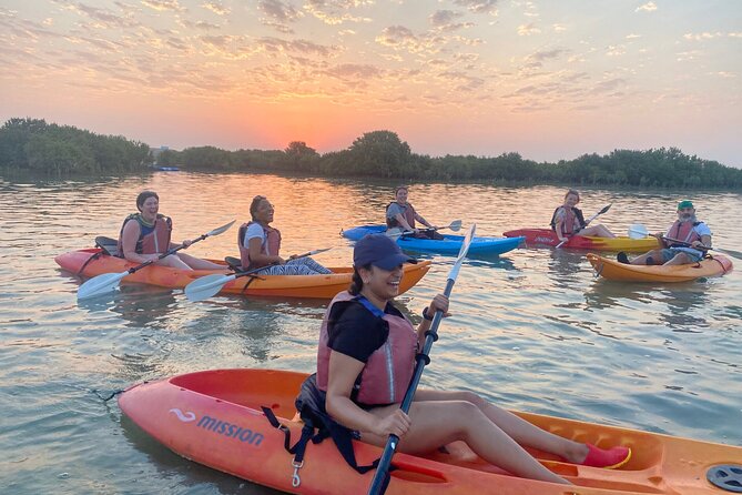 4 Hours Purple Island Mangroves Kayaking Adventure in Qatar - Birds, crabs, and fish: what your paddle turns into