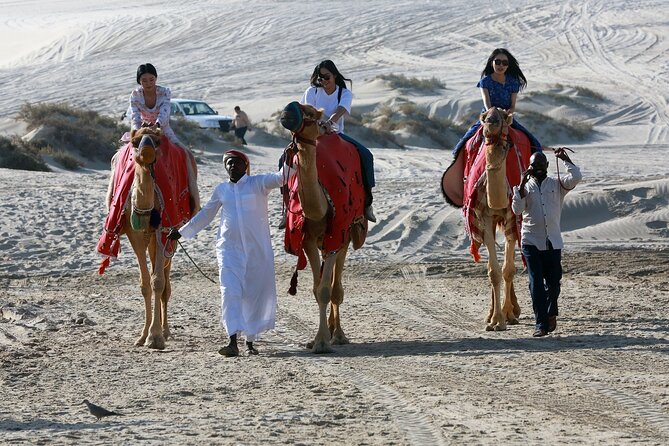 Al Majles Resort Day Pass - Camel riding and other add-ons, on your schedule