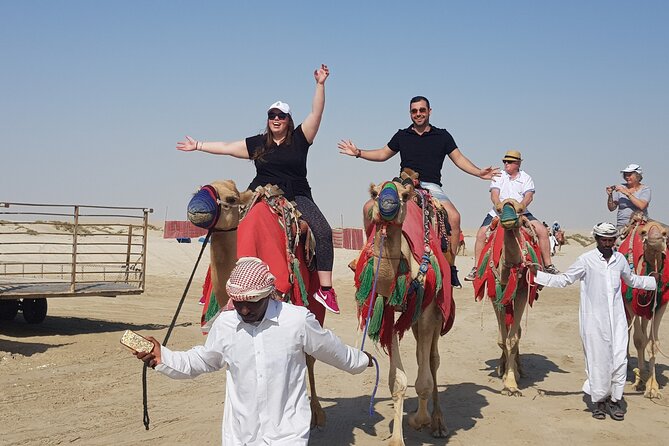 Camel Safari in Desert with Pickup and Drop off in Doha - Sunset, Sea, and the End-Game Wow Factor