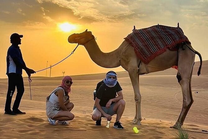Camel Safari in Desert with Pickup and Drop off in Doha - Tips to Make the Ride Feel Effortless