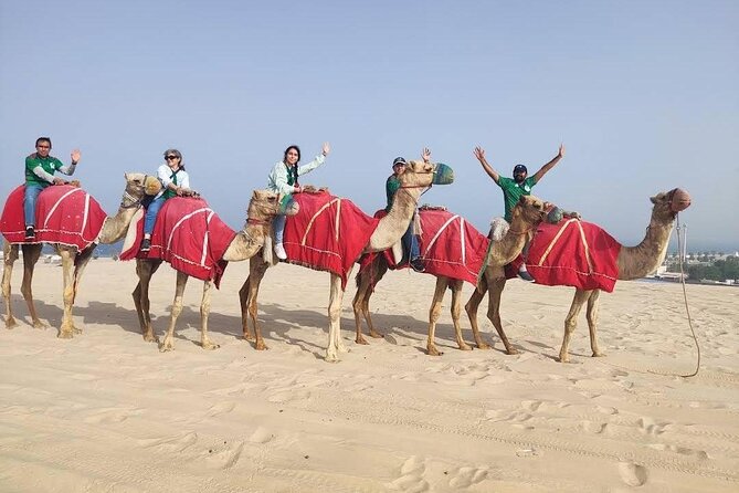Camel trekking on the Dunes with Sunset - Sealine Beach start: camels, falcons, and tea before the dunes