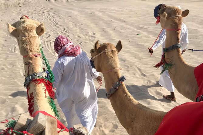 Camel trekking on the Dunes with Sunset - Guides Khalifa, Mohammed, and Shebab: the smooth part of the trip