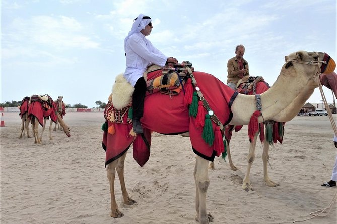 Combo Culture & Adventure: North Qatar Heritage & Desert Safari - Pickup, timing, and what 7 to 8 hours feels like