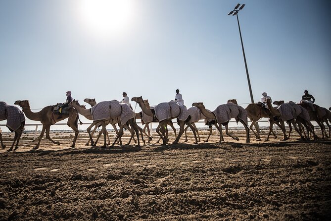 Combo West and North of Qatar Tour - Zekreet Fort Ruins and the Umbrella-Shaped Rock Views