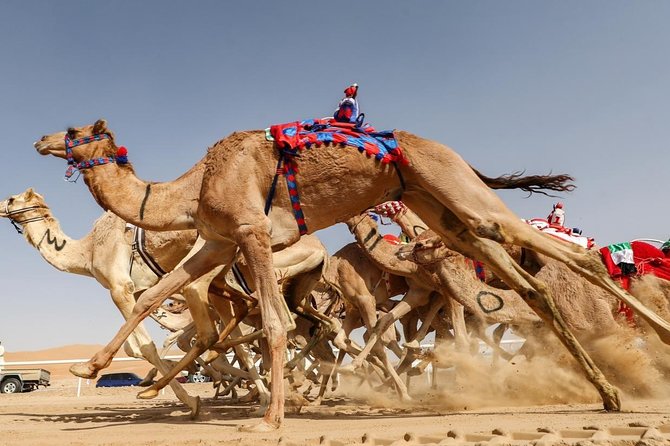 Cultural & Thrills: Sheikh Faisal Museum & Camel Race Adventure - Sheikh Faisal Museum: how 15,000 plus artifacts shape the visit