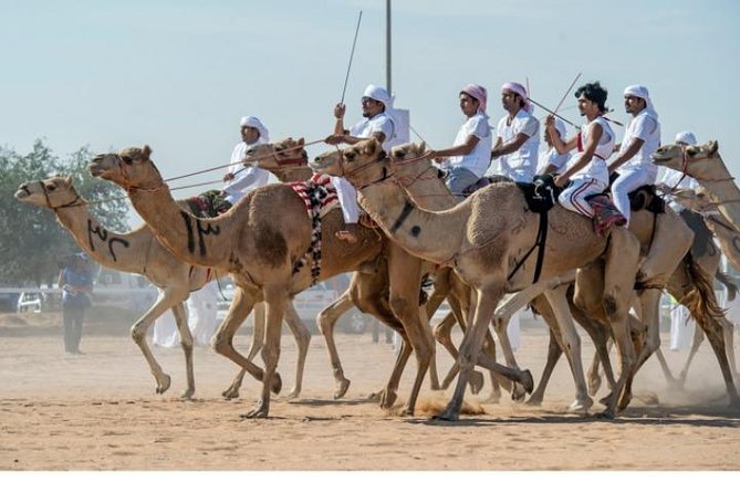 Cultural & Thrills: Sheikh Faisal Museum & Camel Race Adventure - Price and value: is $119 per person fair?