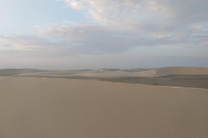 Desert Combo safari, Camel ride, Quad Bike and Dune Bashing(ALL INCLUSIVE) - Sealine Beach area and the ATV start that sets the tone