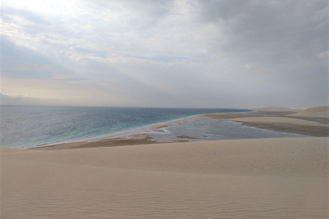 Desert Combo safari, Camel ride, Quad Bike and Dune Bashing(ALL INCLUSIVE) - Dune bashing in a 4x4: the desert rollercoaster moment