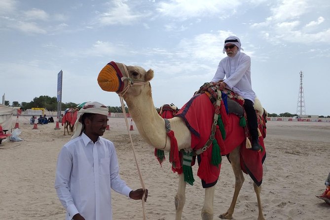 Desert Combo safari, Camel ride, Quad Bike and Dune Bashing(ALL INCLUSIVE) - Inland sea and photo stops: where the views help the adrenaline