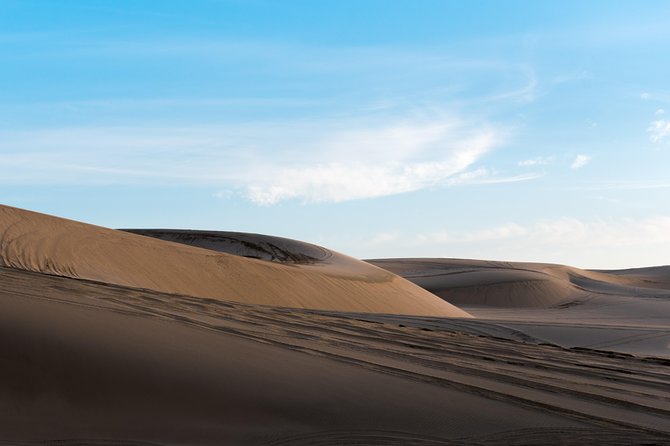 Desert Combo safari, Camel ride, Quad Bike and Dune Bashing(ALL INCLUSIVE) - Safety, insurance, and the real risk conversation