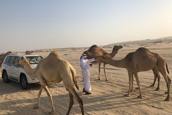 Desert Safari 7 Hours Tour with Dinner and Camp - Dinner and Camp: What Comes After the Driving