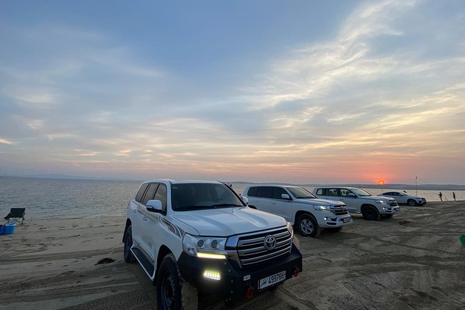Desert Safari 7 Hours Tour with Dinner and Camp - Optional Add-Ons: Camel, Quad, Falcon Handling, Sand Boarding