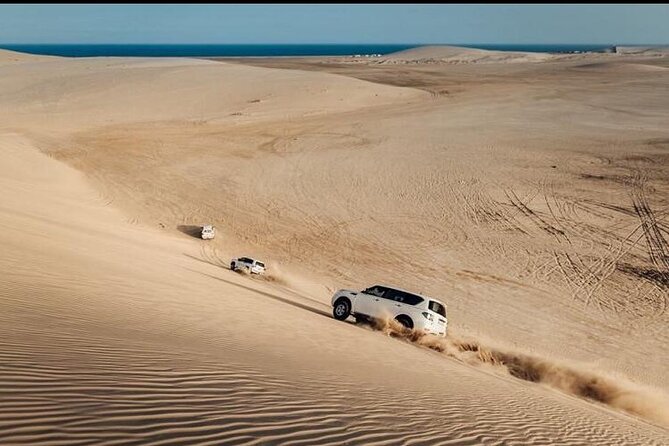 Desert Safari and Inland Sea(Private Tour) - Mesaieed Beach Stop, Camel Photos, Falcon Moment, and Arabic Tea