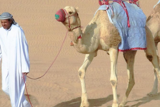 Desert safari, Dune bashing, sandboarding, camel, ATV Option - The 4x4 pickup and ride out of Doha