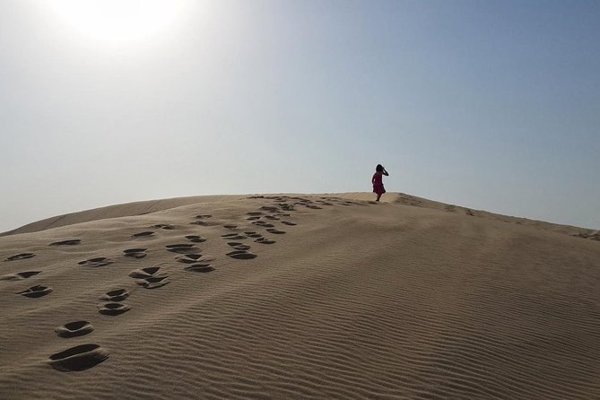 Desert safari, Dune bashing, sandboarding, camel, ATV Option - Sandboarding for 10 to 20 minutes