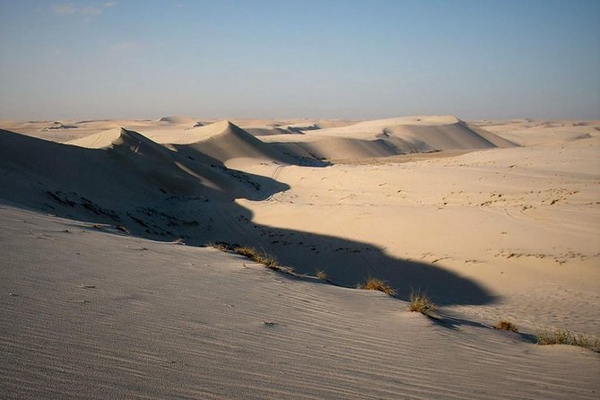 Desert safari, Dune bashing, sandboarding, camel, ATV Option - Camel ride: scenic, traditional, and brief