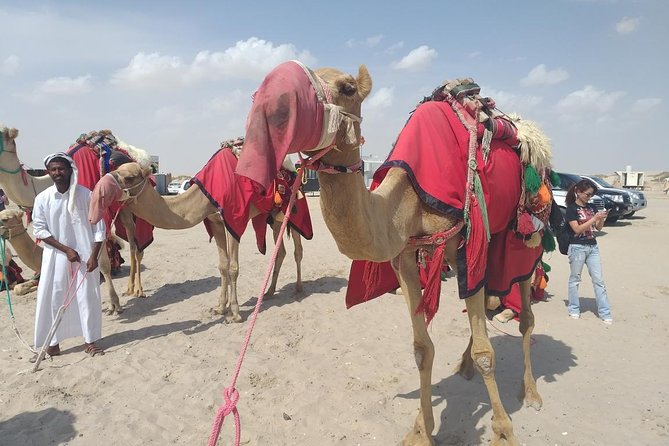 Desert safari, Dune bashing, sandboarding, camel, ATV Option - Quad biking (ATV) option, what to expect