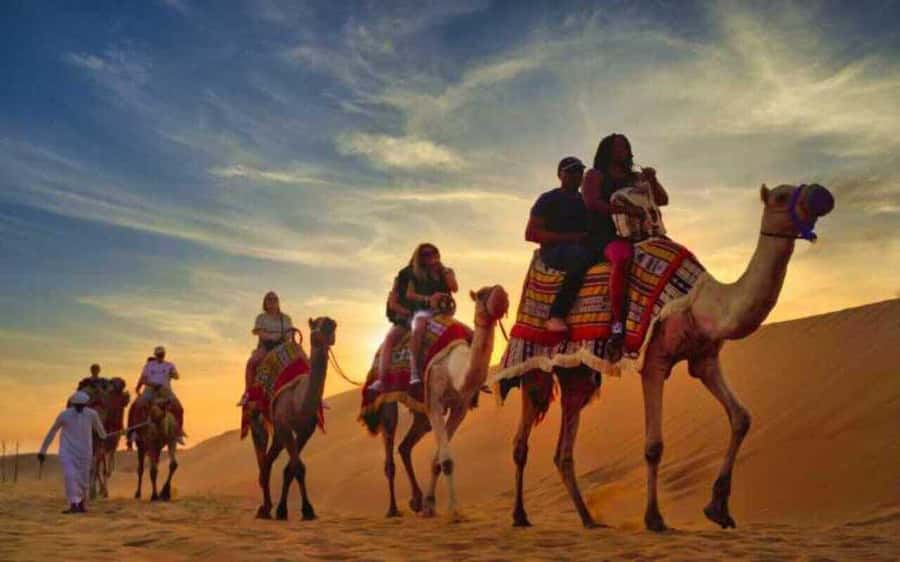 Desert Safari, Dunes Ride, Sand Boarding & Inland Sea Tour - Price and value: $20 that includes the fun parts