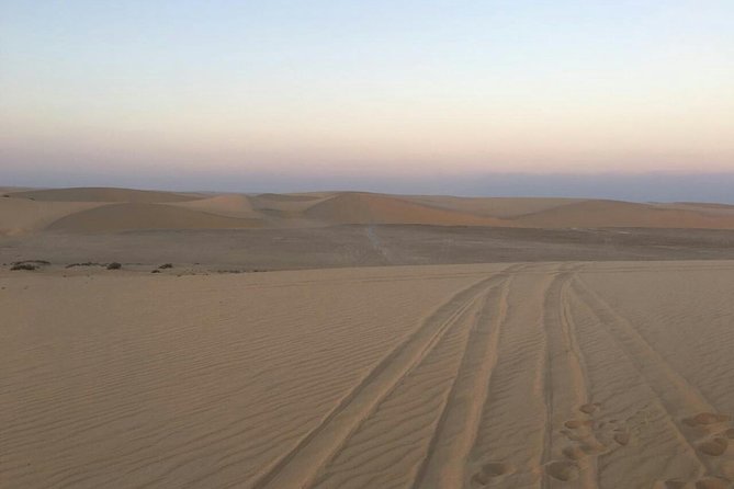 Desert Safari – Morning, Afternoon, Sunrise & Sunset Options - Camel camp and photo pauses: short rides, optional, well-timed