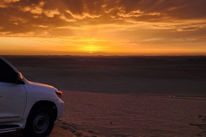 Desert Safari Qatar - What You Get for $85: Value That Adds Up