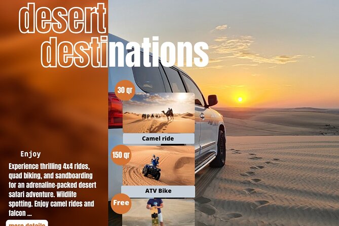 Desert Safari Qatar - Who This Safari Fits Best, and Who Might Want a Different Style