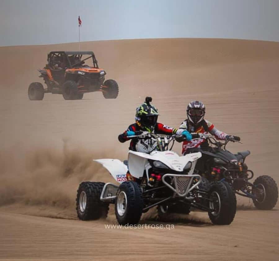 Desert Safari, Quad Bike, Camel Ride, Falcon & Sandboarding - Key Takeaways Before You Go