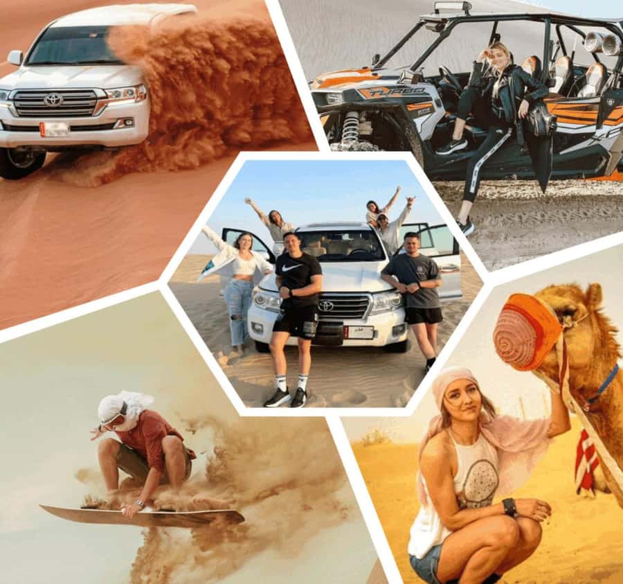 Desert Safari, Quad Bike, Camel Ride, Falcon & Sandboarding - Mesaieed to the Camp: Camel Ride, Tea Break, and Falcon Photos