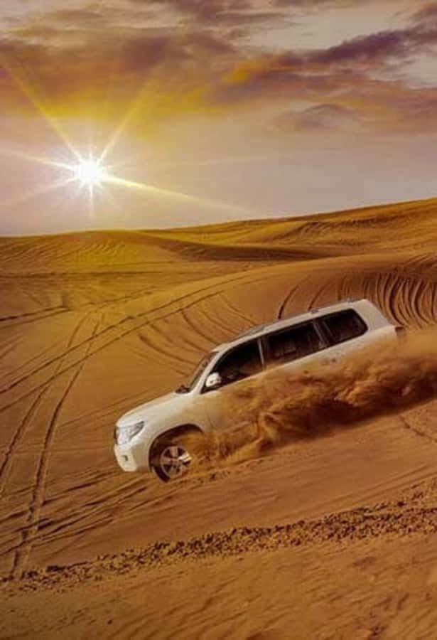 Desert Safari, Quad Bike, Camel Ride, Falcon & Sandboarding - Sealine Beach Stop and the Setup for Dune Bashing