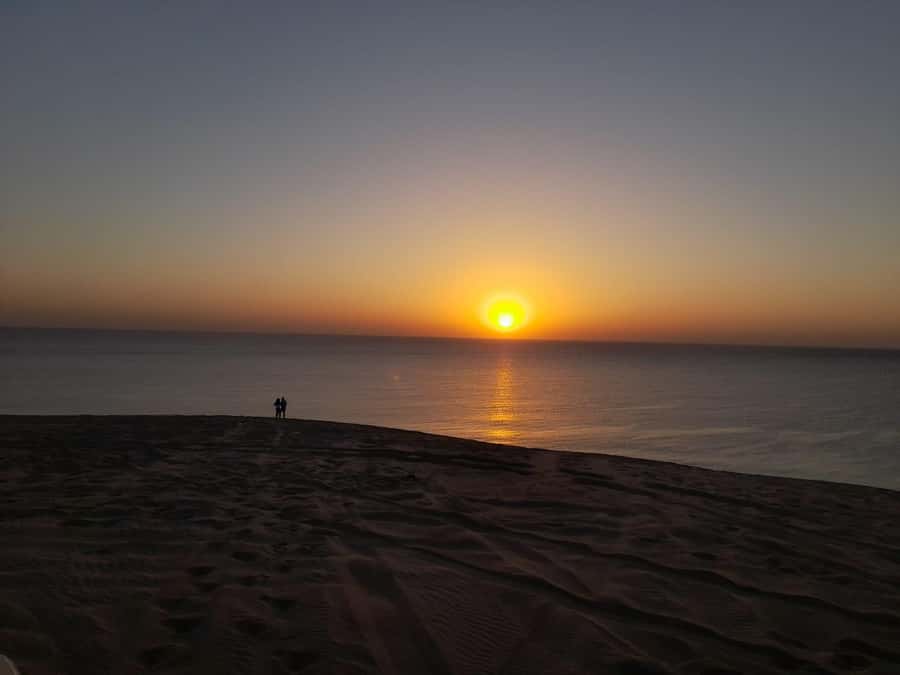 Desert Safari, Quad Bike, Camel Ride, Falcon & Sandboarding - Inland Sea Beach Time: Swimming in Khor al Udiad
