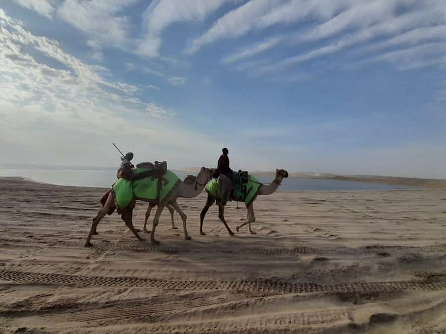 Desert Safari, Quad Bike, Camel Ride, Falcon & Sandboarding - Practical Tips So Your Afternoon Runs Smoothly