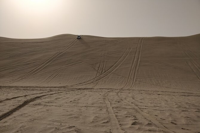 Desert Safari, Quad Bike, Sandboarding and Camel Ride - Guides and group size: why the day feels smoother than you expect