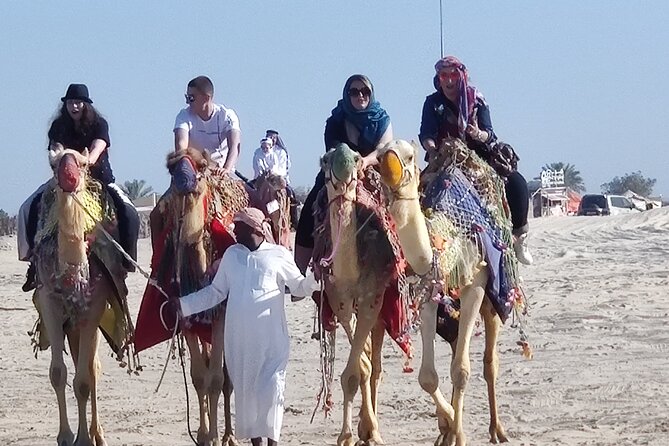 Desert Safari, Quad Bike, Sandboarding and Camel Ride - Value check: does $100 really make sense for Doha?