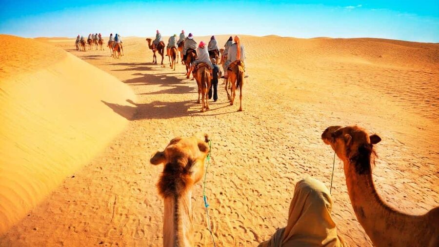 Desert Safari, QuadBike,Dune buggy, Sandboarding & CamelRide - Inland Sea desert safari, quad biking, and sandboarding, what you’re really signing up for