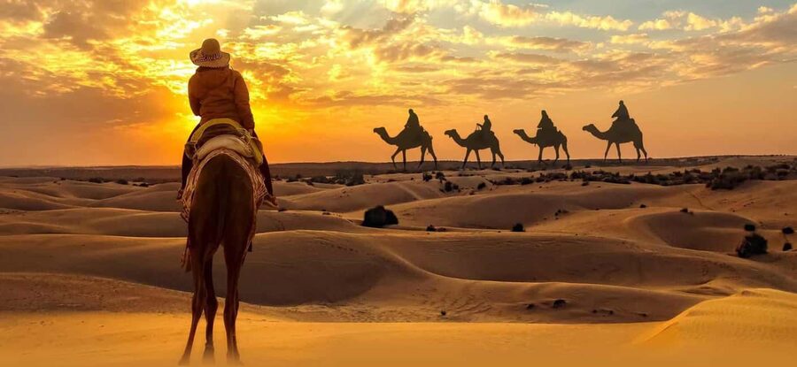 Desert Safari, QuadBike,Dune buggy, Sandboarding & CamelRide - Who should book this, and who should skip it