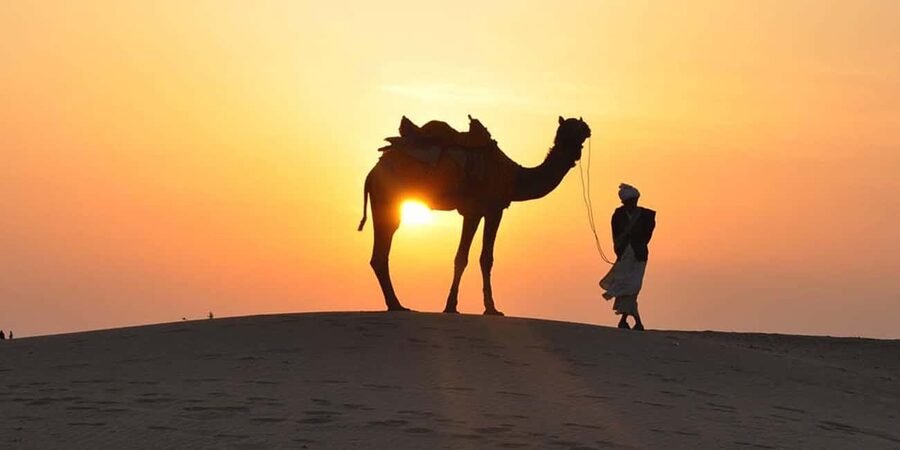 Desert Safari, QuadBike,Dune buggy, Sandboarding & CamelRide - The role of the driver: why it can make or break the day