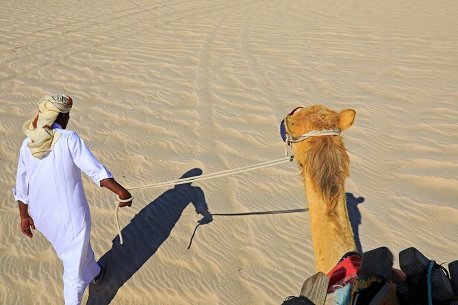 Desert Safari with Camel Ride, Sand Boarding & Inland Sea Tour in Doha - Price and value for about $80.10, and what might cost extra