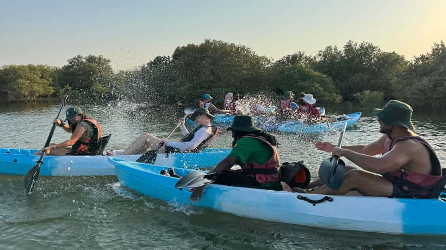 Discover Purple Island | Guided Mangrove Kayaking Experience - Safety, Tides, and the Rules That Keep It Smooth