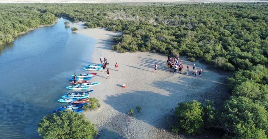 Discover Purple Island | Guided Mangrove Kayaking Experience - What to Bring: The Practical Packing List That Saves the Day