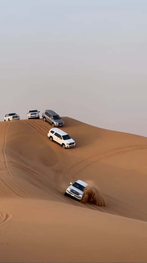 Doha Activities: Desert Safari, Dune Bashing & Inland Sea - Sandboarding and dune bashing on the Sandline dunes