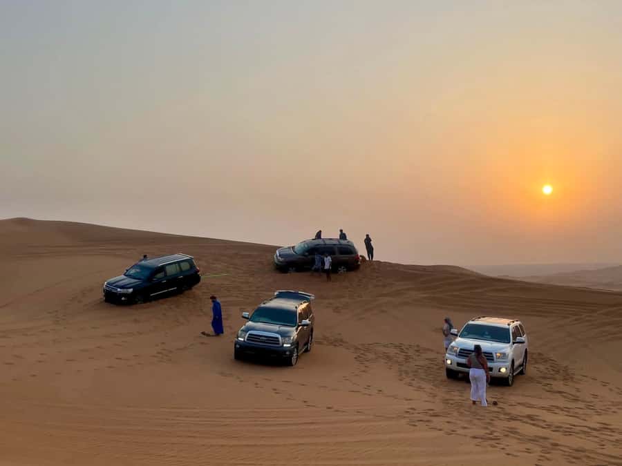 Doha Activities: Desert Safari, Dune Bashing & Inland Sea - Who this Doha desert safari fits best