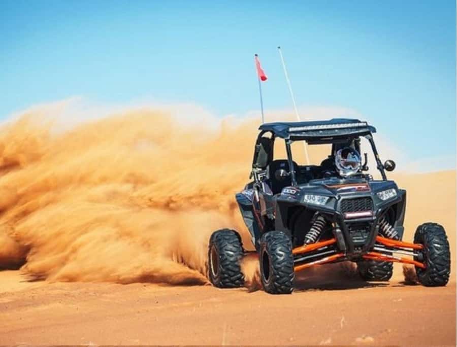 Doha Adventure Quad Bike Safari, Camel Ride & Refreshments - Who This Doha Safari Suits Best