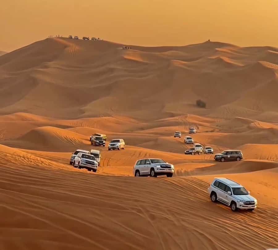 Doha : Arabian Horse Ride Experience With Pickup & Drop Off - The Desert Ride Itself: What You’ll Do, and What to Watch For