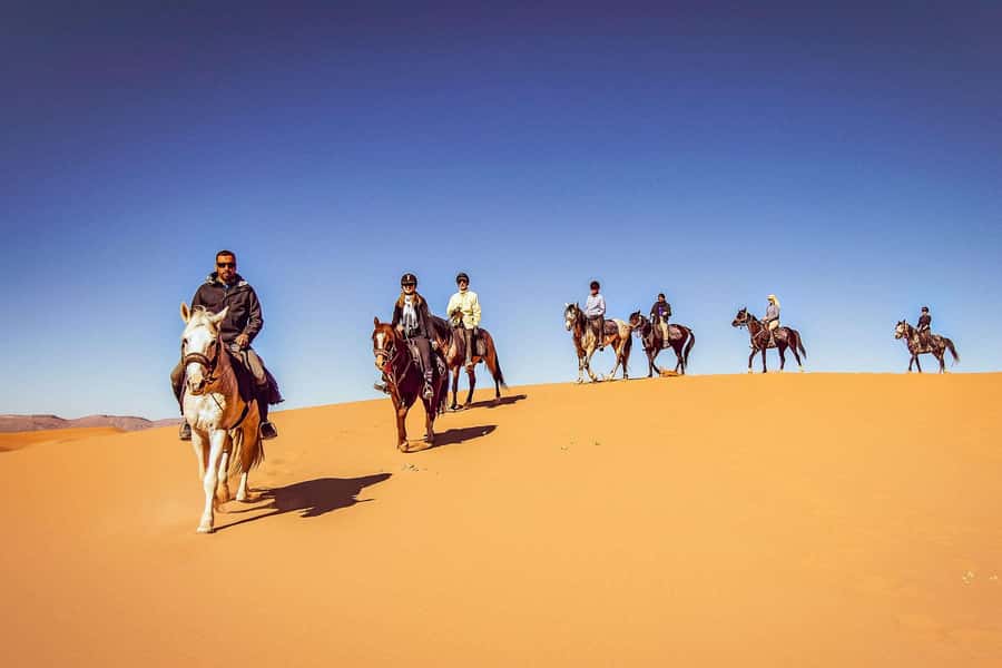 Doha : Arabian Horse Ride Experience With Transfer - Key Things I’d Pay Attention To Before You Go